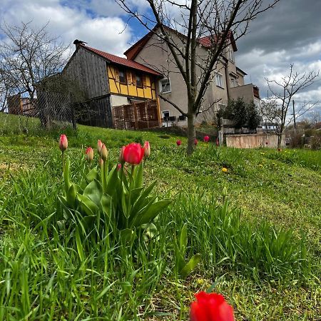 Ferienwohnung Makowitschka Kreischa Bagian luar foto